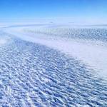 Aerial view of a vast, snow-covered glacier under a clear blue sky, with the wing of an aircraft visible on the right side of the image.