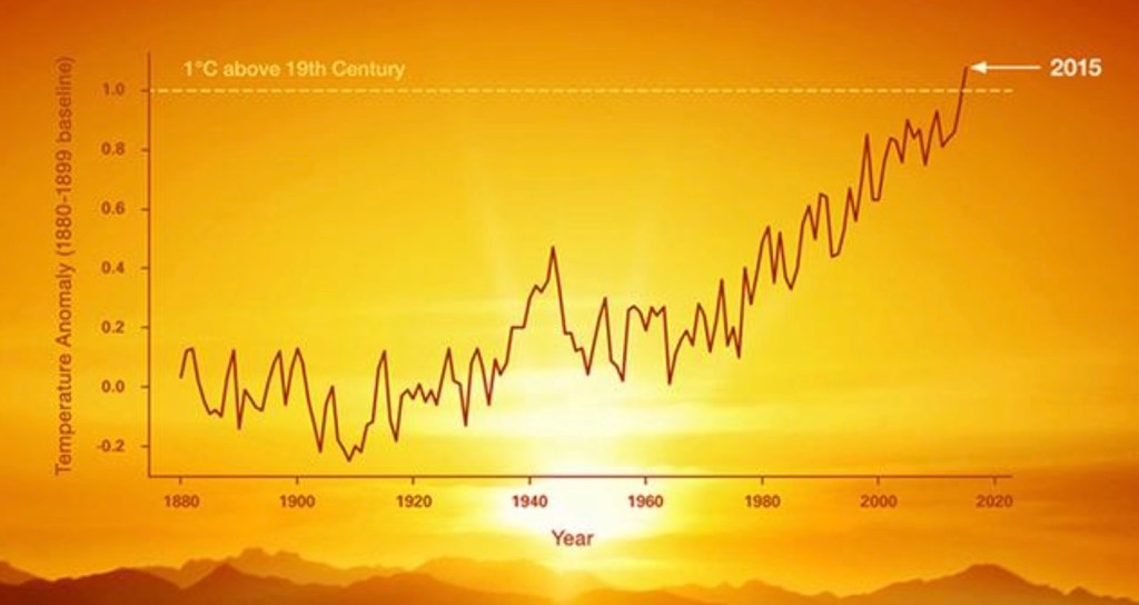 A graph trending upwards with a setting Sun as the background.