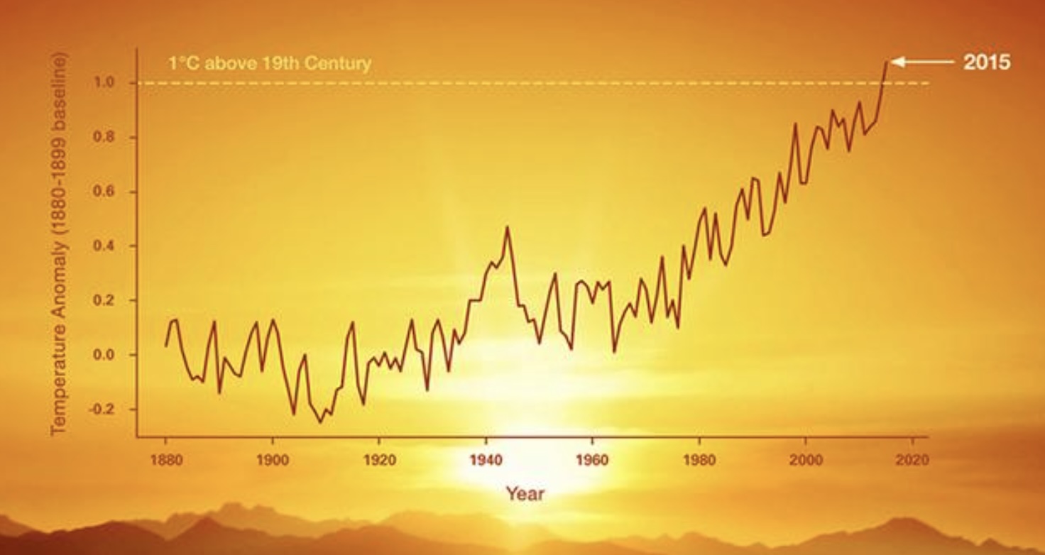 A graph trending upwards with a setting Sun as the background.