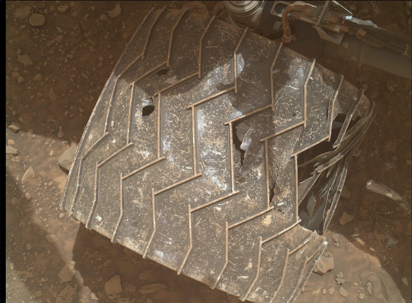 An overhead view of one of Curiosity rover's six wheels. This shows a wheel with a zig-zag tread pattern, with several holes and broken areas around the tread surface.