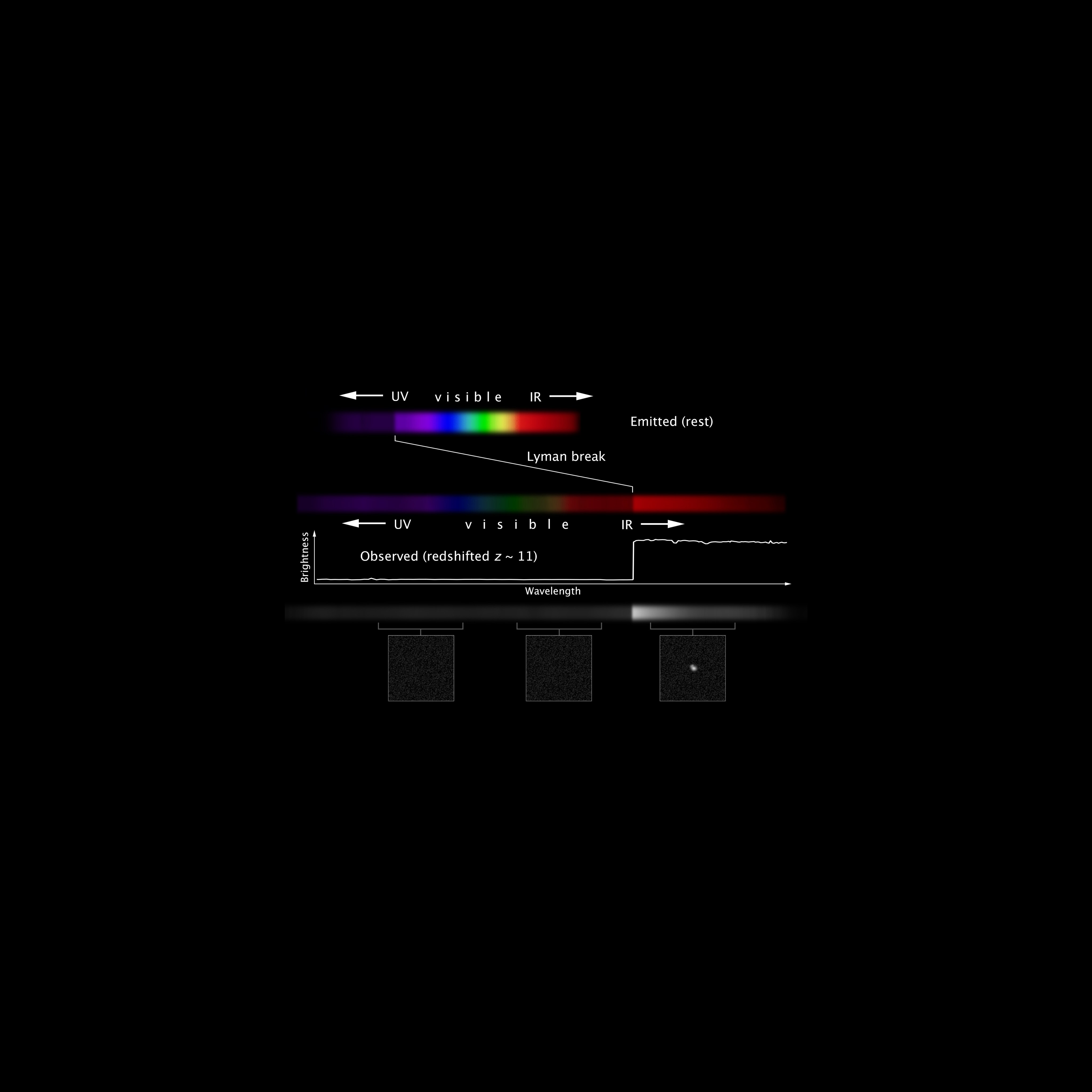 Three absorption spectra: the Sun, a white dwarf, and a blue giant. The white dwarf spectra has wide dark absorption lines.