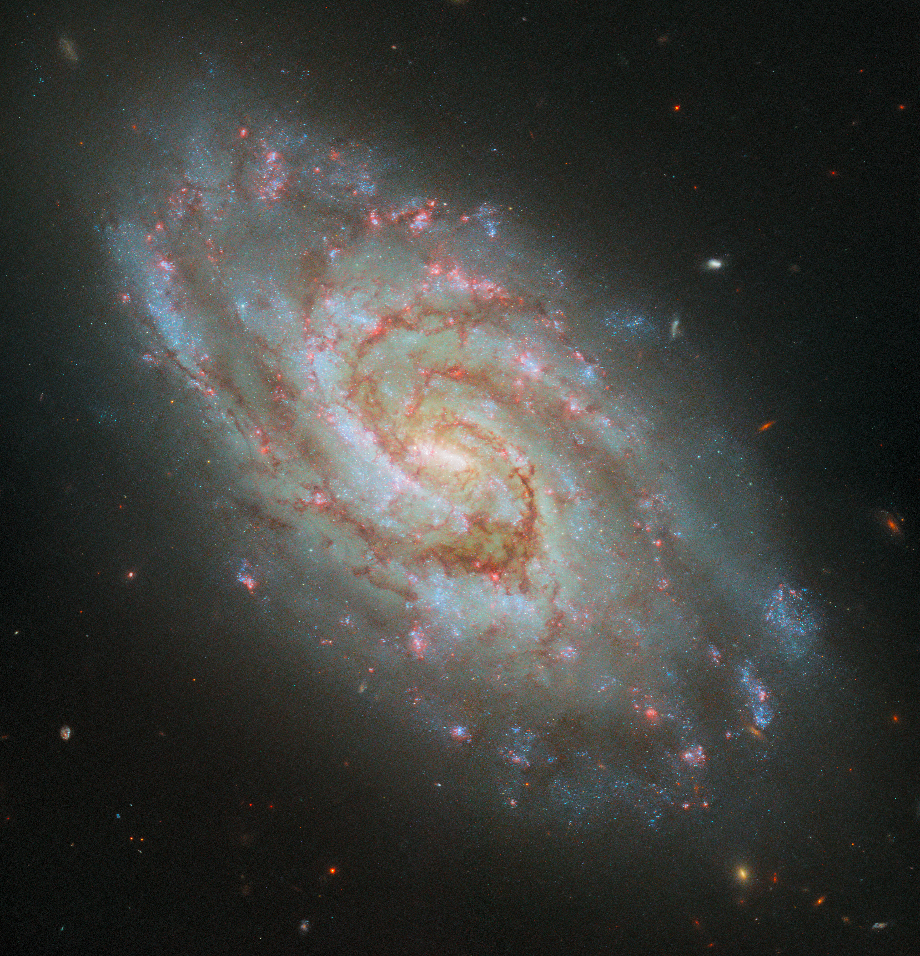 Hubble Captures Steller Nurseries in a Majestic Spiral