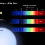 Three absorption spectra: the Sun, a white dwarf, and a blue giant. The white dwarf spectra has wide dark absorption lines.