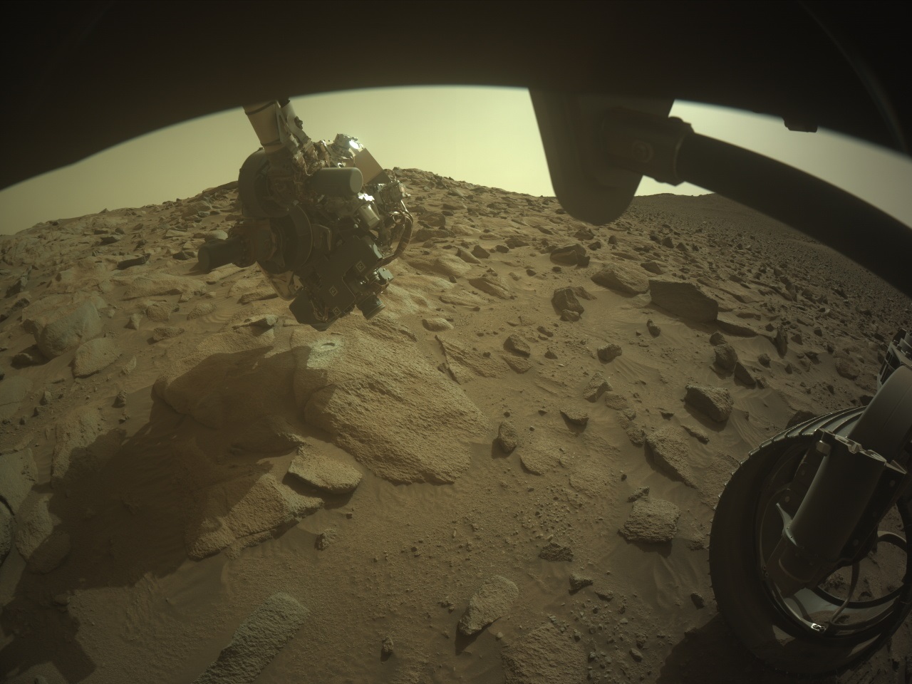 An image from the Martian surface shows light beige, rocky terrain under a sky that’s a cool, pale yellow and casts a haze across the scene. The camera’s-eye view from below the rover shows the robotic arm reaching for a large, flat rock just left of image center, and atop the rock is a circular indentation where it looks like a medium-sized coin was pressed into the dirt. A section of the rover blocks off the top quarter of the image frame, while a support rod stretches toward one of the rover’s wheels, at the right edge of the frame, where it’s viewed edge-on, so you can see the swirl of its spokes, and the ribbed tread of its wheel.