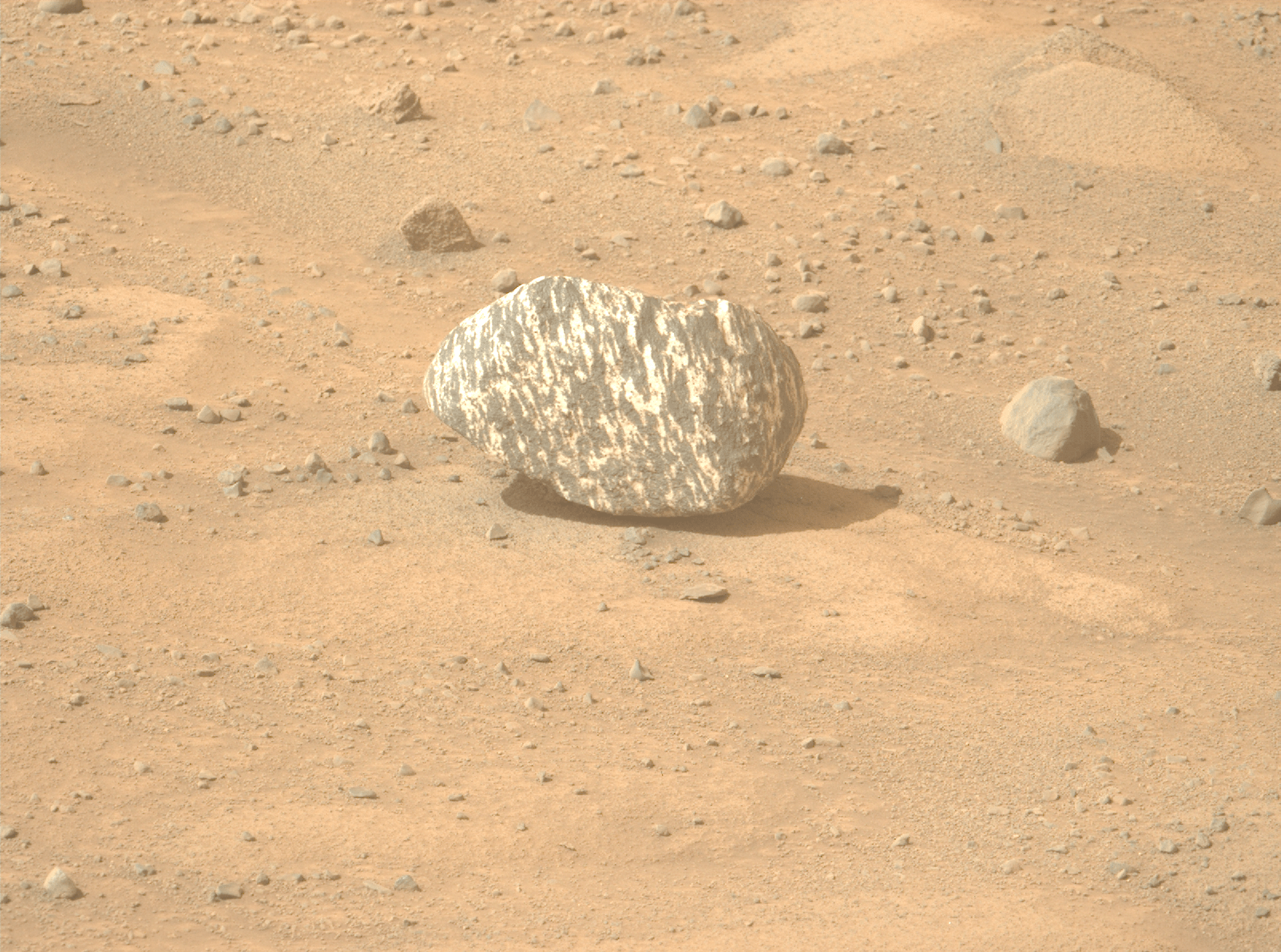 NASA's Mars Perseverance rover acquired this image of a black-and-white striped rock using its Left Mastcam-Z camera. Mastcam-Z is a pair of cameras located high on the rover's mast. This image was acquired on Sept. 13, 2024 (Sol 1268) at the local mean solar time of 12:40:29.