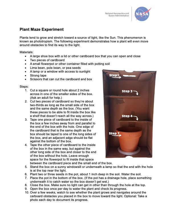 The image shows the plant maze experiment with instructions on the left and a photo of the experiment on the right.