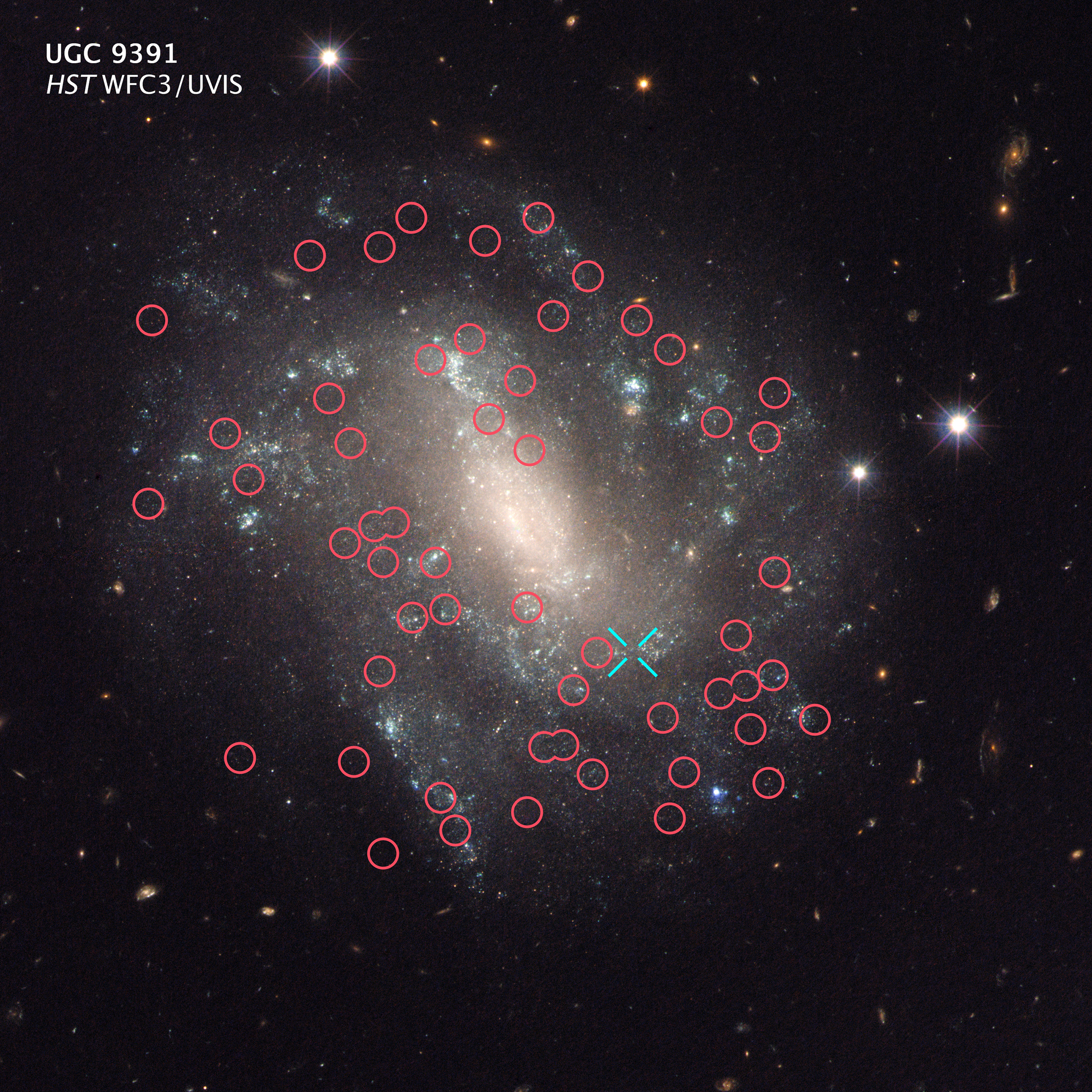 Spiral galaxy UGC 9391 is shown sprinkled liberally with red circles where Cepheid variable stars have been found and a blue cross where a Type 1a supernovae was seen.