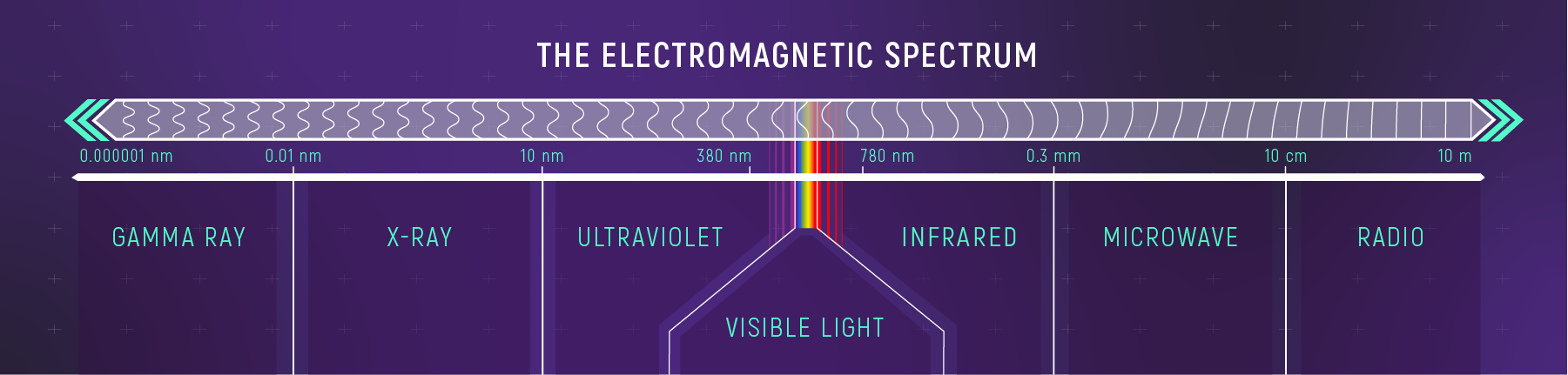 The Electromagnetic Spectrum” shows the shortest, most energetic wavelengths at the left and the longest, least energetic to the right, illustrated as a long, partially colored strip that ends in arrows. From left to right, the types of light are paired with their measurements: gamma ray (0.000001 to 0.01 nanometers), X-ray (0.01 to 10 nanometers), ultraviolet (10 to 380 nanometers), visible light (380 to 780 nanometers), infrared (780 nanometers to 0.3 millimeters), microwave (0.3 millimeters to 10 centimeters), radio (10 centimeters to 10 meters). On the graphic, visible light is represented by a rainbow of colors: violet, indigo, blue, green, yellow, orange, and red. The background is largely purple.