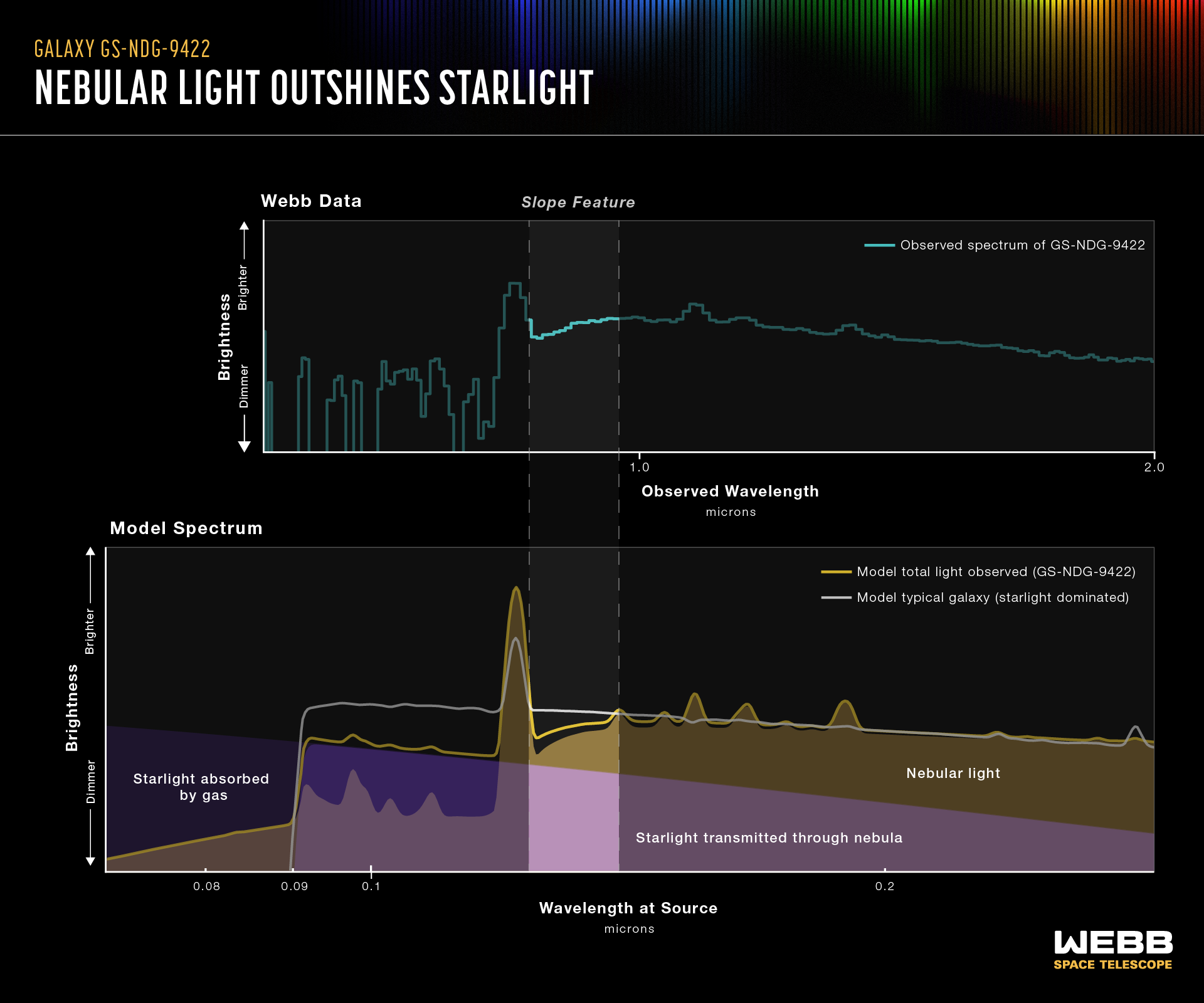 Infographic titled Galaxy GS-NDG-9422, Nebular light outshines starlight. Graphic is divided horizontally with one spectrum on top, labeled Webb Data, and one on bottom, labeled Model Spectrum. A portion of both spectrums about an inch wide is highlighted with a vertical column labeled Slope Feature. There is a clear similarity between the top and bottom graphs, thought the top has more angular lines and the bottom is smoother and rounded. See extended description for more.