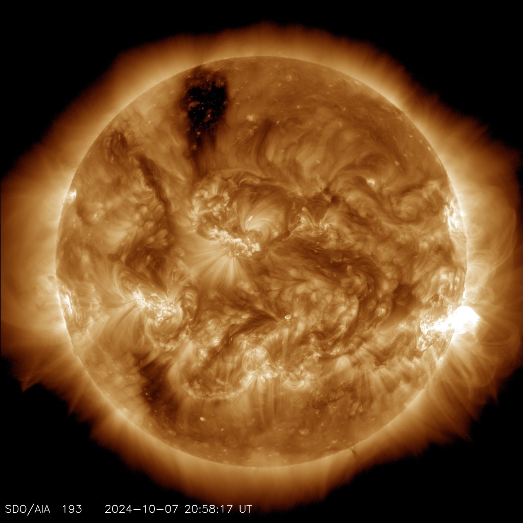 
			Sun Releases Strong Solar Flare - NASA Science			