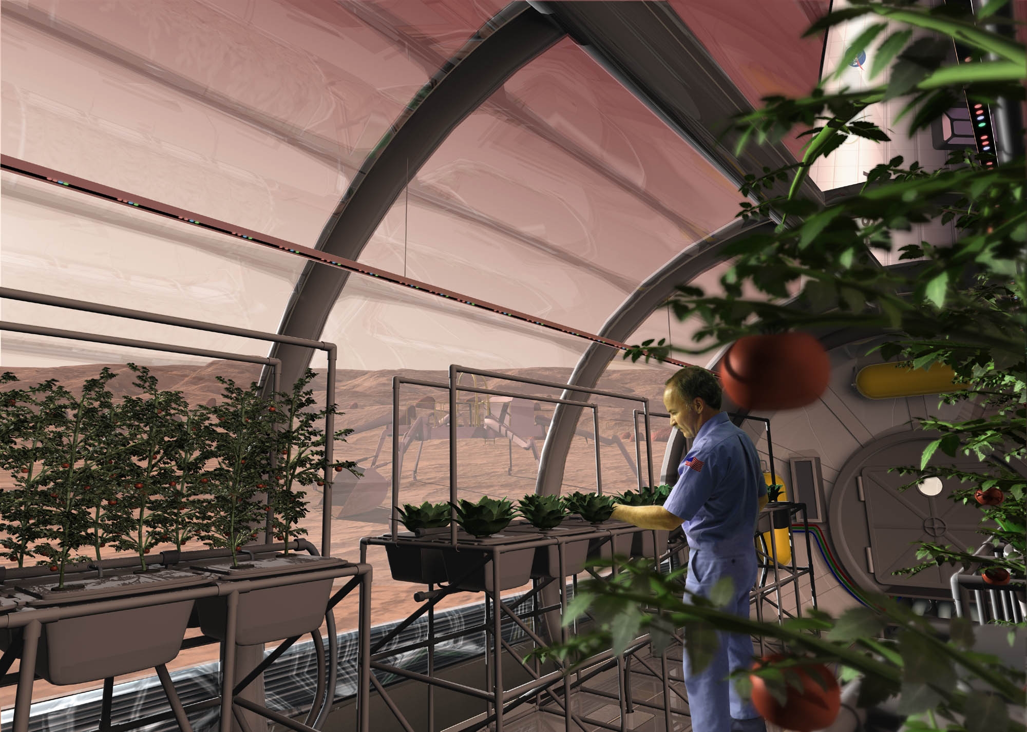 A man wearing a blue shirt and pants stands in the center of a futuristic greenhouse. He appears to be tending to a series of small green plants and is surrounded by other tables containing other green plants. Ray Wheeler. Plant research in space.