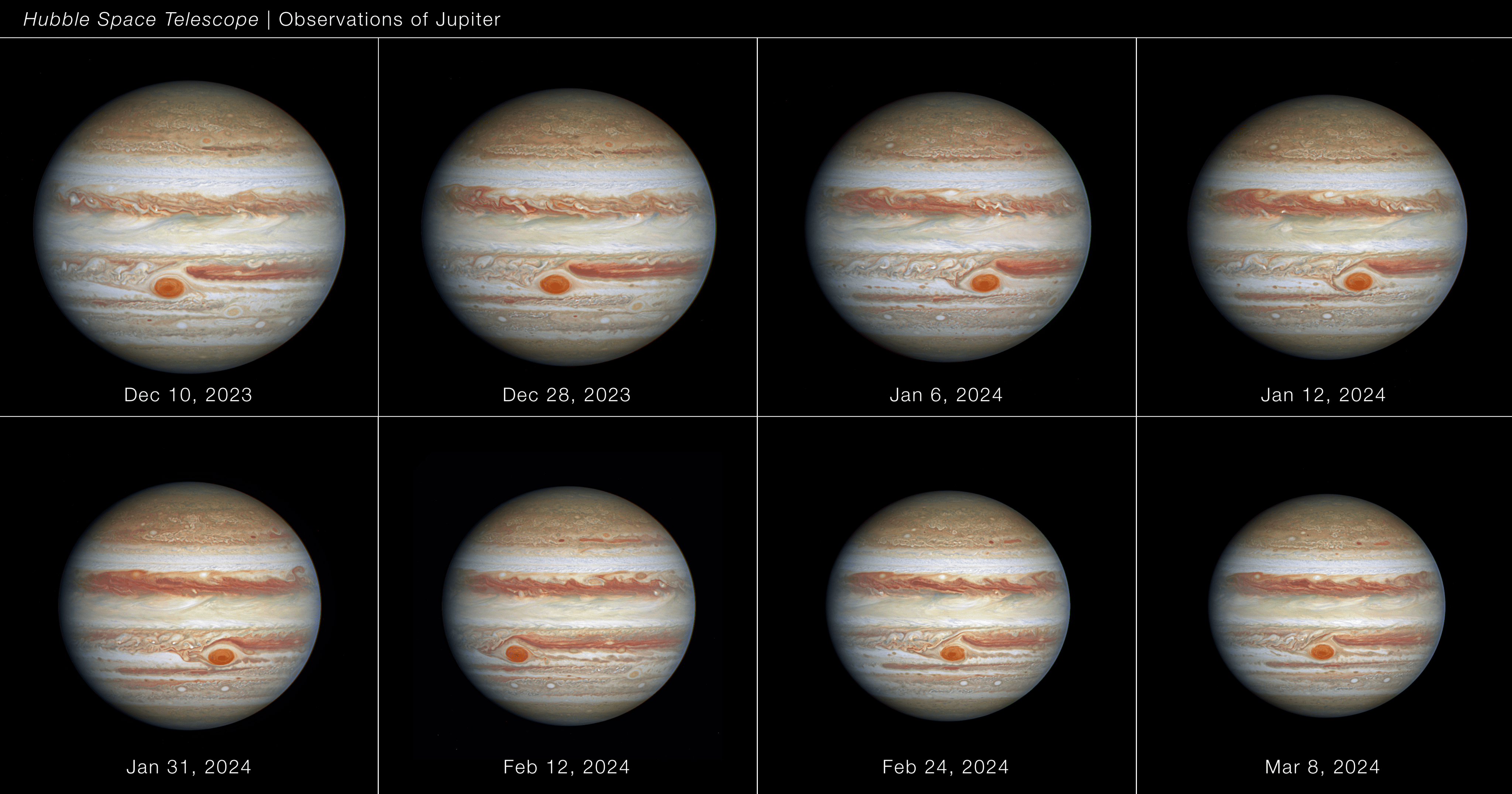 Eight Hubble images of the giant planet Jupiter spanning approximately 90 days between December 2023 and March 2024.