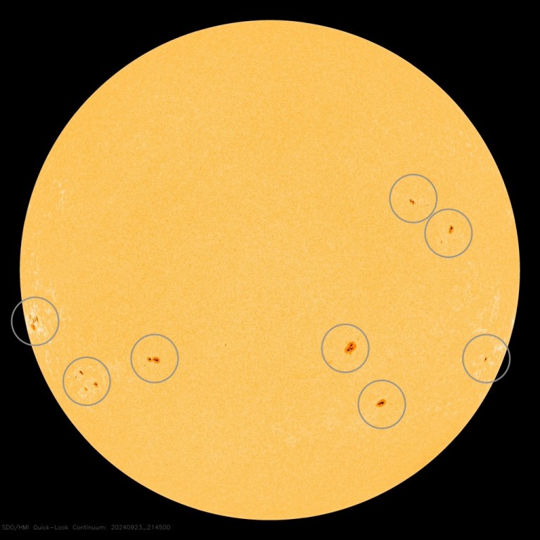 An image shows sunspots scattered around the Sun. Eight groups of sunspots are circled.