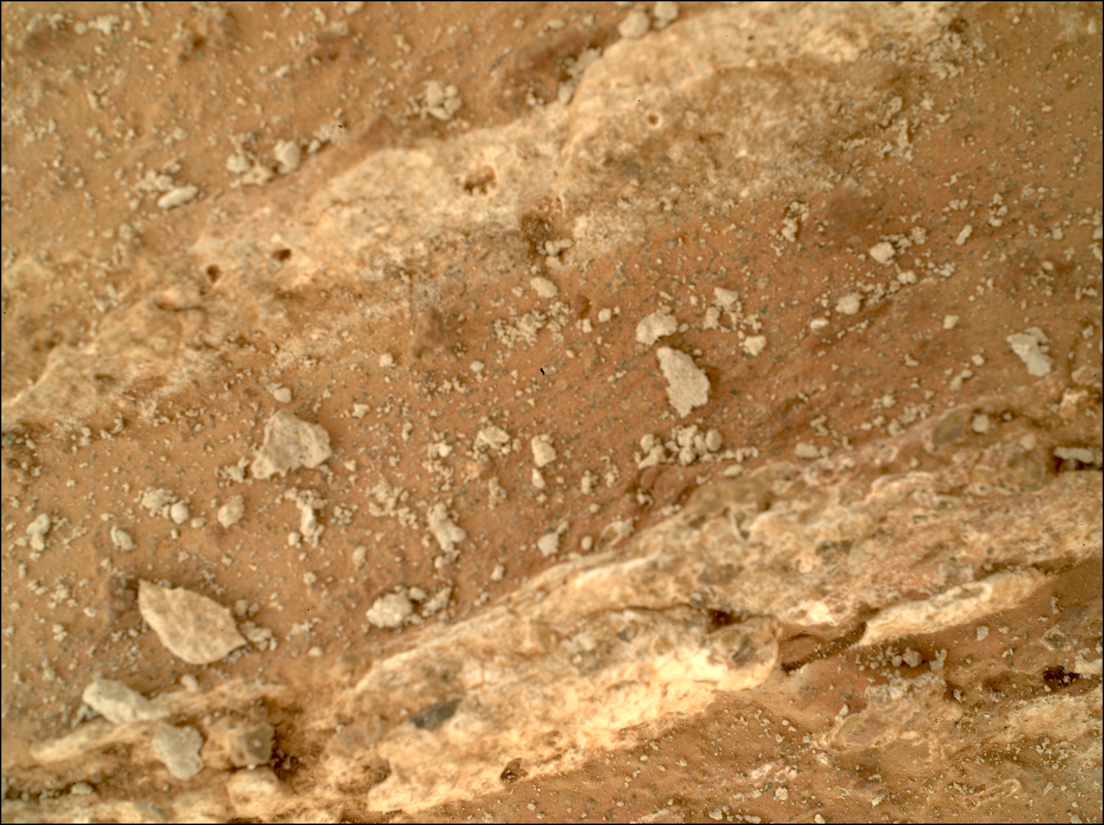 Close-up view of Cheyava Falls natural surface on Mars where chunks of olivine (pale green) in the straight veins and leopard spots in the center are seen.