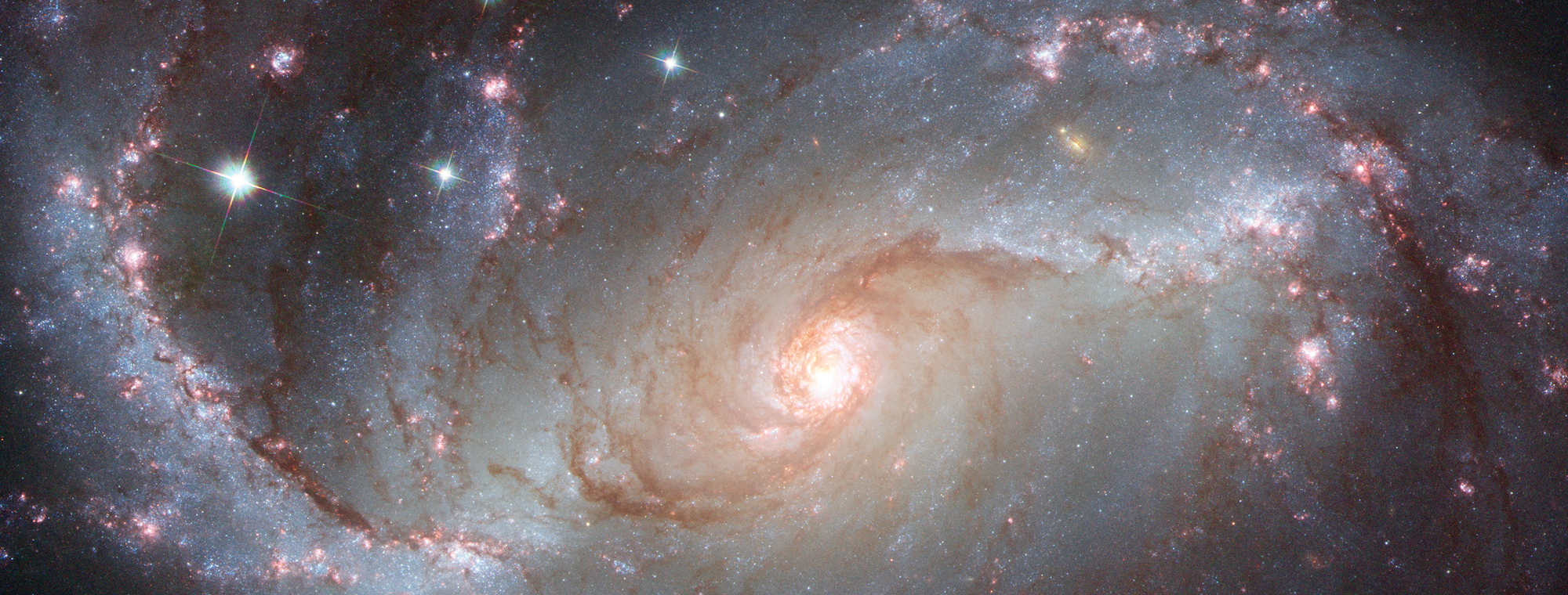 A spiral galaxy with an oval-shaped disk. Two large arms curve out away from the ends of the disk. Bright pink patches and dark reddish threads of dust fill the arms. The bright pink patches indicate where stars are forming. The core is very bright and filled with stars. Some large stars appear in front of the galaxy.