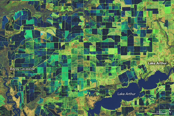 A false-color satellite image showing a patchwork of agricultural fields surrounding a dark blue lake, with green vegetation and grid-like patterns visible across the landscape.