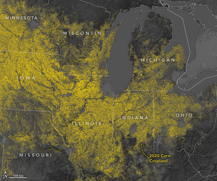 Map of U.S. Midwest showing corn cultivation in yellow dots against gray background, with several Great Lakes visible.