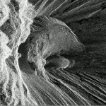 Airbus SAR image