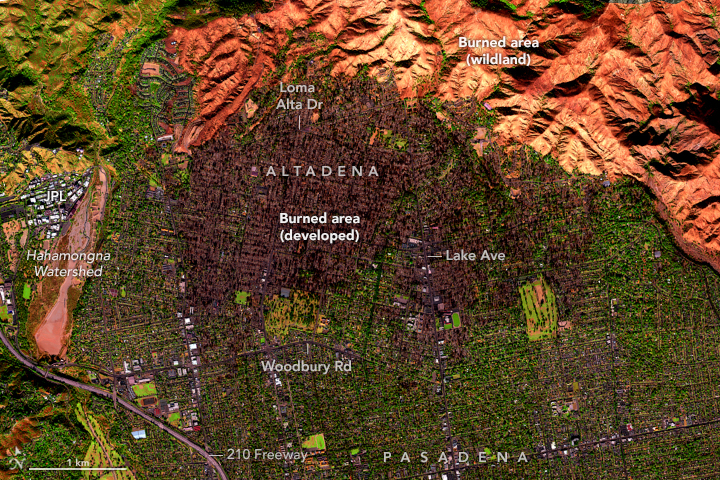 Airborne view of Altadena and Pasadena, taken by an instrument on board a NASA aircraft. Charred vegetation shows up as brown in northern parts of Altadena. Burned landscape of the San Gabriel mountains appears orange and surrounding vegetation is green.