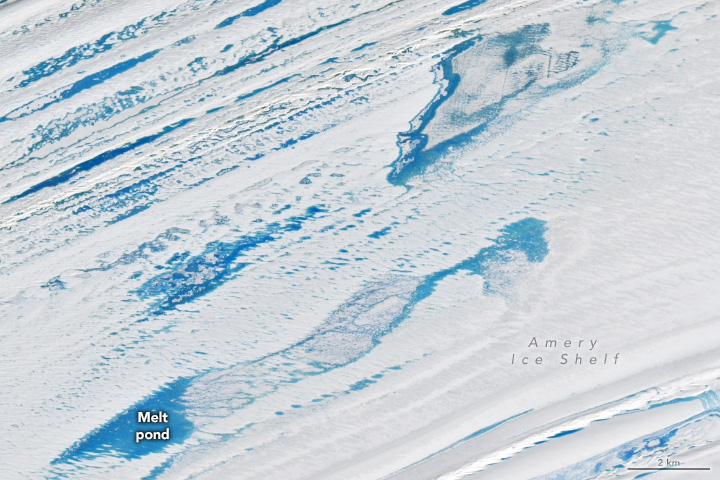A close-up view of the white ice shelf is filled with many blue melt ponds, which appear elongated from the lower-left to top-right.