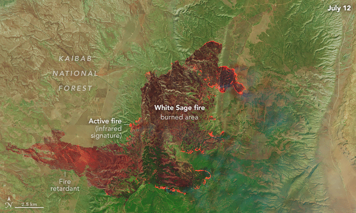 A gif moves between false-color Landsat images of the Dragon Bravo fire captured on July 12 (left) and July 13 (right). The fire spread east over that period. Bright orange areas around the charred areas (brown) are the infrared signature of active burning.
