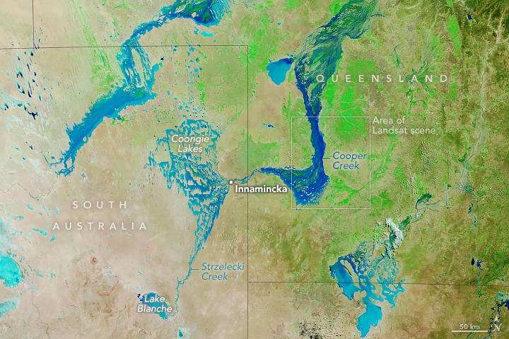 A false-color satellite image shows a large area of Queensland and South Australia. Several large river systems run roughly from the northeast to southwest, and a number of ephemeral lakes contain water. The desert landscape is tinged with green from vegetation on the right, where there is more water, and tan on the left, where there is less.
