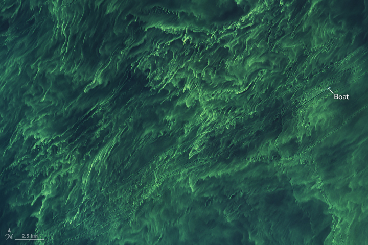 A detailed view of a central part of the open sea shows the same filaments of bright yellow and green. A tiny white fleck on the right side is a boat. A thin, straight black line trails behind the boat.