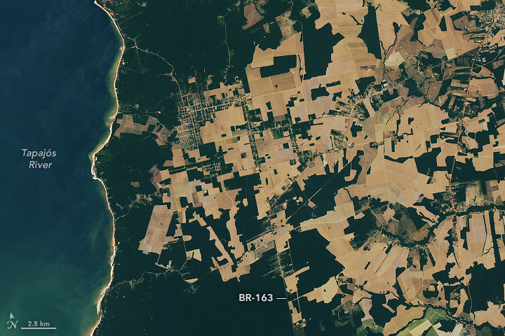 A detailed view shows the town of Belterra near the blue-green Tapajós River. Rectangular and irregular fields in shades of brown surround the town's gridded patterns of streets. Green forested land runs along the coast toward the left and across the bottom of the image.