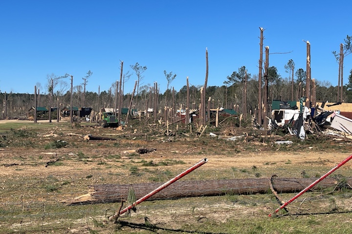 A photograph taken from the ground shows snapped tree trunks and damaged cabins.