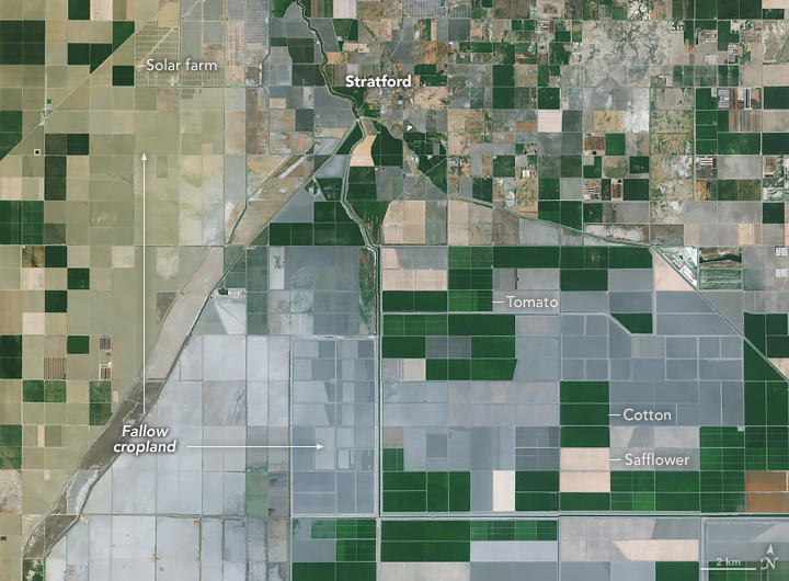 A more detailed satellite image is centered on the town of Stratford, California. Rectangular farm fields surround the town. Fields of tomato, cotton, and safflower are labeled and mostly appear green. Brown and gray fields are labeled as fallow. A solar farm is visible west of Stratford.