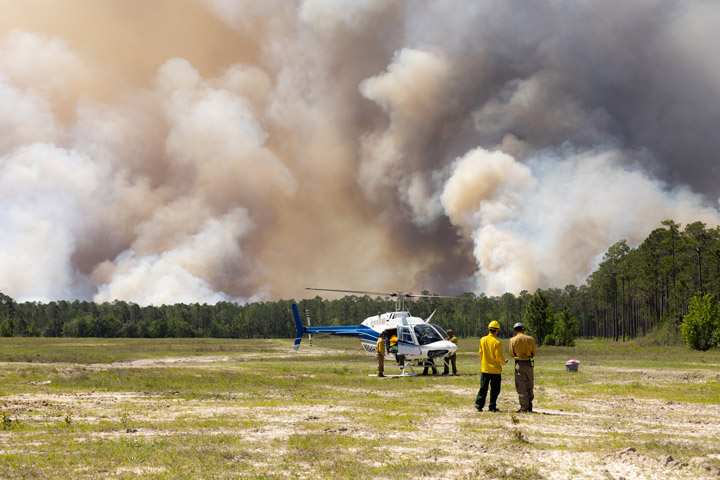 A helicopter preparing for takeoff sits in a grassy field. Several people with yellow shirts stand near the helicopter as well as in the foreground. Pine forests are visible in the background. A large smoke plume billows from the area of the trees.