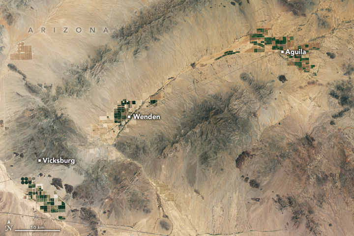 A Landsat image shows the desert in Arizona with rectangular green patches of farmland around the towns of Vicksburg, Wenden, and Aguila.