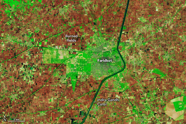 A false-color satellite image shows recently burned fields around the Indian city of Faridkot, a city in Punjab. The image was acquired on November 25, 2024.
