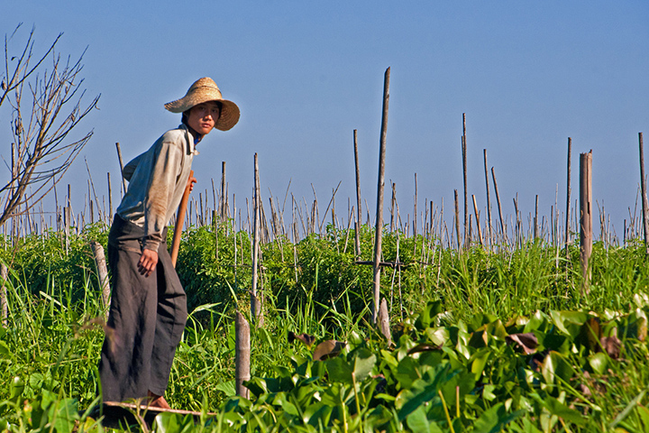 (Courtesy of George Seielstad) -