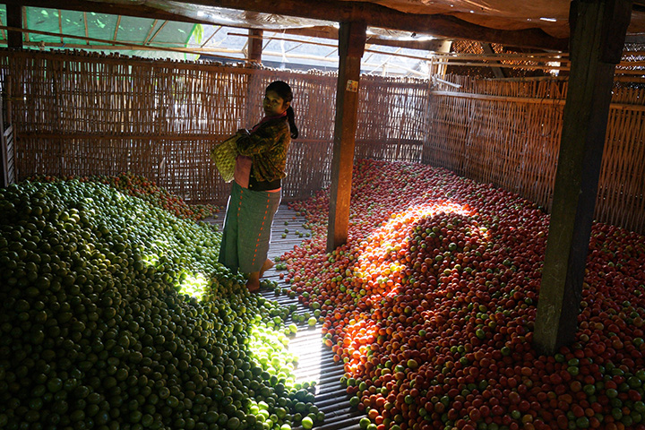 (Courtesy of Martin Michalon) -