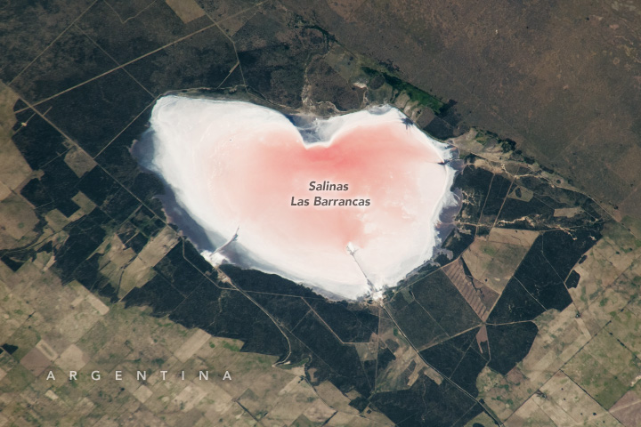 A photograph taken from the International Space Station shows Salinas Las Barrancas, a brackish lake in Argentina that has a light pink-to-white appearance. It is surrounded by angular green and brown fields.