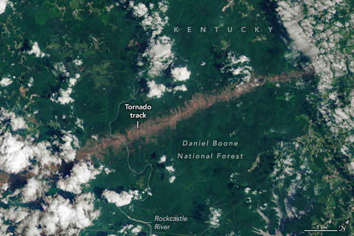A satellite image of Kentucky shows an area of Daniel Boone National Forest. The land cover is mostly dark green with some winding rivers cutting across it. A tornado track, appearing as a light brown, unvegetated swath, runs on a slight diagonal from left to right across the image.