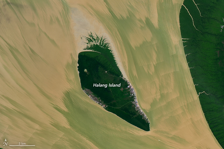 A detailed view of the first image shows the island centered at the river's mouth. The streakiness of the water with its paintbrush-like edges is shown in greater detail. The area of relatively new land at the top of the island is brown and lacks much vegetation.