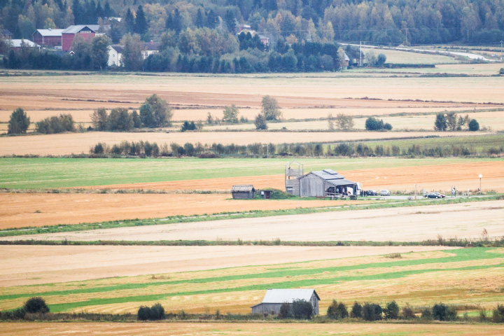 A photograph of the crater's interior taken from a slightly elevated point of view. Agricultural fields are divided by rows of trees, and some barns are visible.
