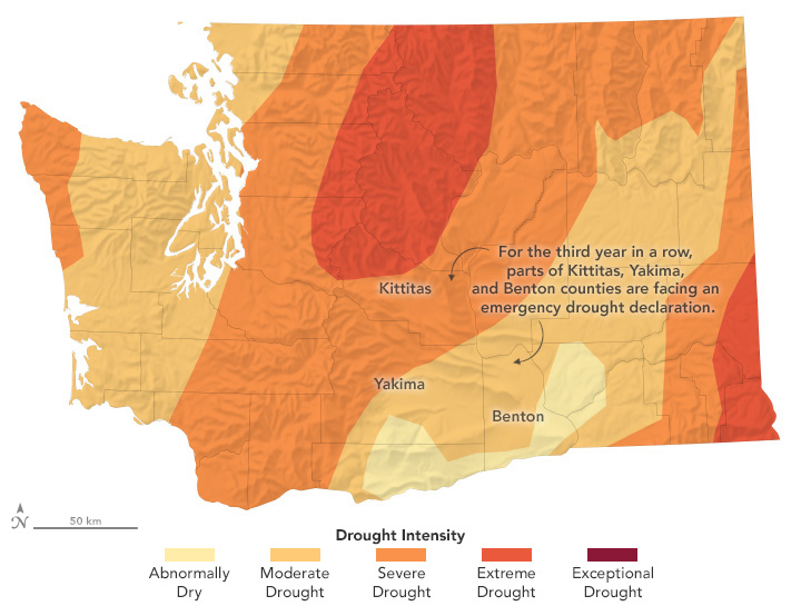 A map shows the severity of drought in Washington state on July 29, 2025. The entire state was experiencing some degree of drought or dry weather, with the most intense drought in the Cascades. The reservoirs in this area feed irrigation systems that supply water to farmers throughout the Yakima River Basin.