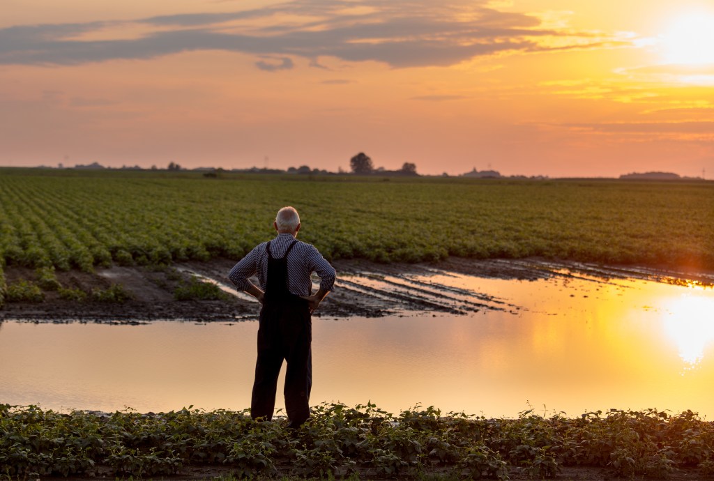 A farmer standing beside a small pomnbd in an agricultural field