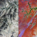 Side-by-side Hyperfield-1A satellite images of western Helmand, Afghanistan, acquired on May 2, 2026. The left panel shows a dry mountainous landscape in natural-looking tones, with dark rocky ridges, pale sandy valleys, branching riverbeds, and small vegetation patches along drainage lines. The right panel shows a false-RGB visualization of foundation-model embeddings for the same area. Vegetation appears in green, while bare rock, soil and sediments are separated into red, orange, pink, purple, blue, and cream tones. The comparison highlights how the model distinguishes spectrally different materials, including variation within vegetation and among similar-looking bare surfaces.